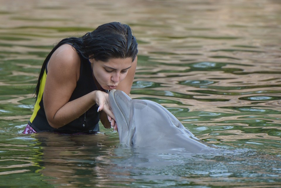 Cara puckered up for the mammal