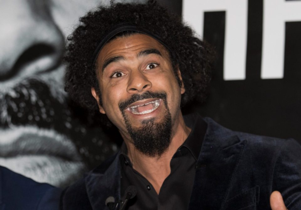  David Haye won world titles at two weight divisions