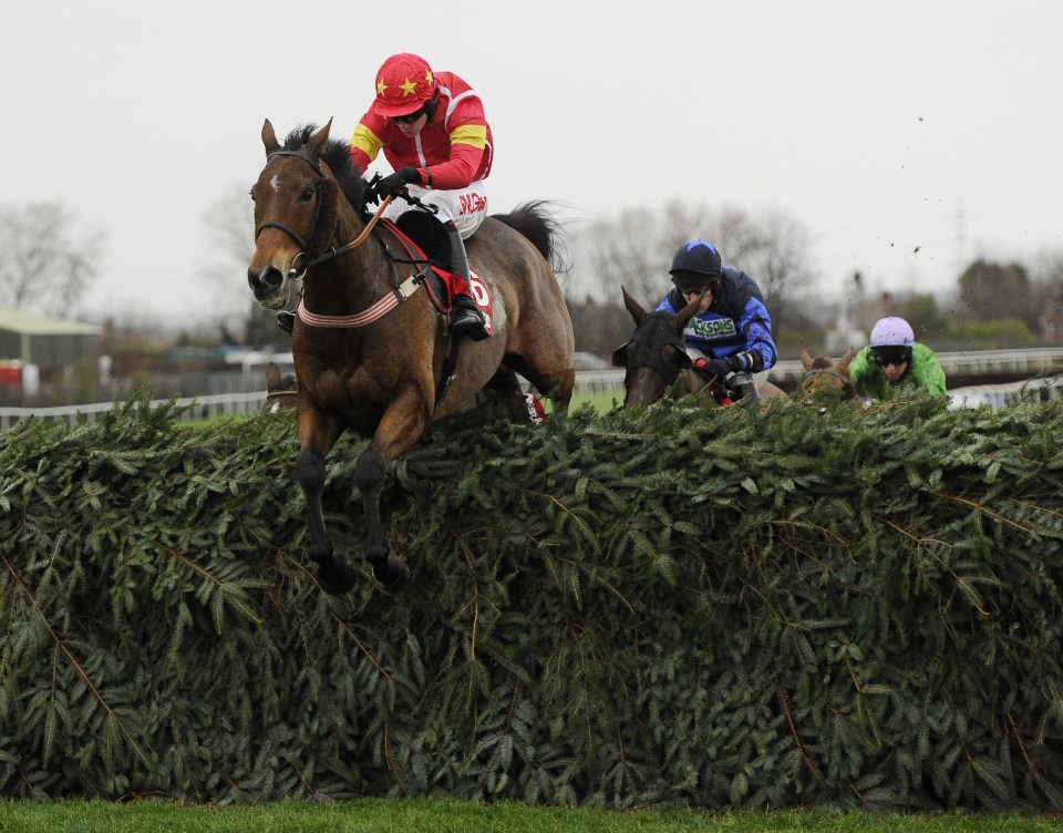 Highland Lodge and Henry Brooke will team up in the Becher Chase again