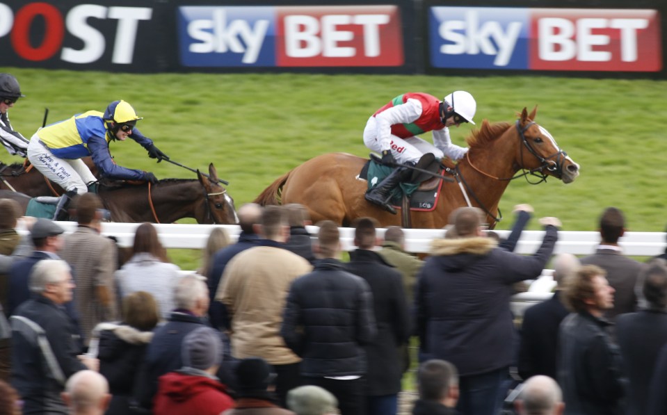  Poetic Rhythm's win at Cheltenham did not come as a surprise to O'Brien