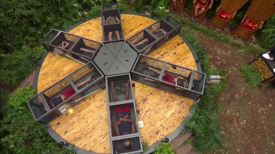 The stars of I'm A Celebrity are drawn into a 'vicious circle' tonight