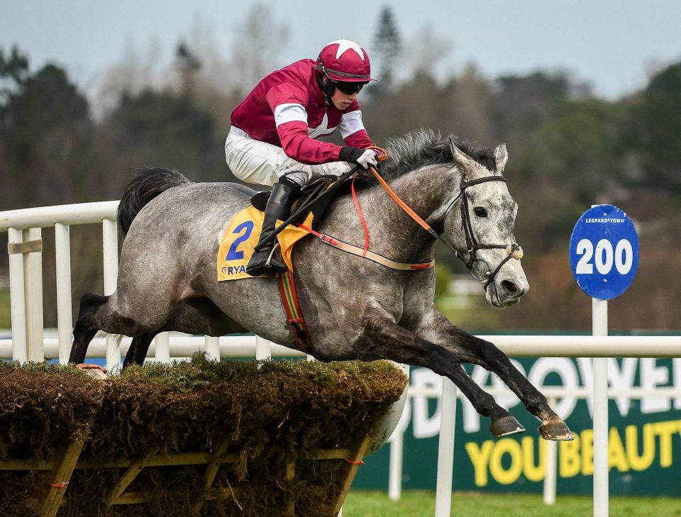  Petit Mouchoir jumped into Champion Hurdle contention at Leopardstown