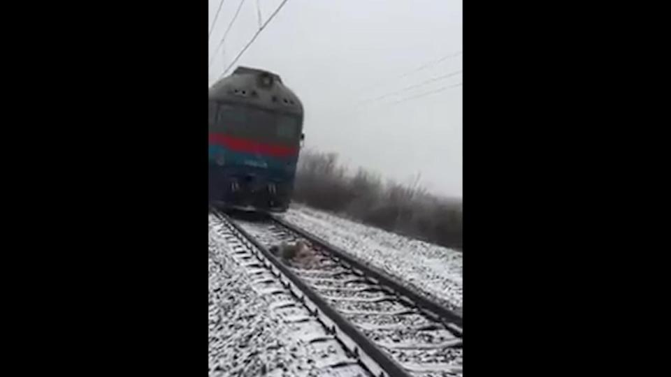  The pair can be seen huddling together and staying very still as the train thunders over their bodies