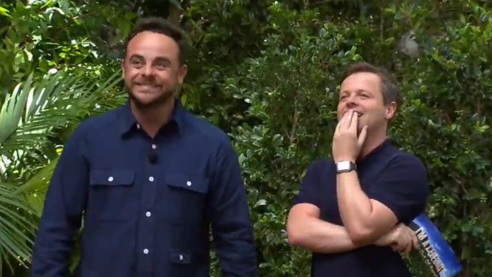 Ant and Dec find his reactions hilarious 