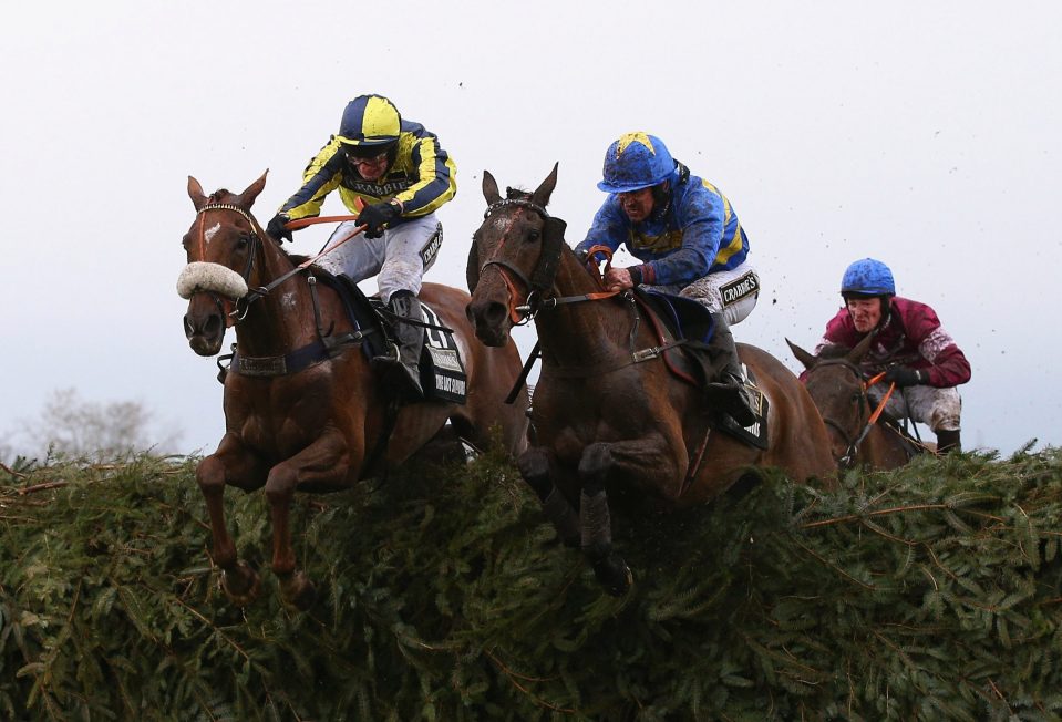 The Last Samuri (left) jumped well in the National