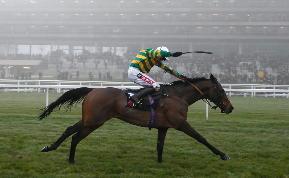  Unowhatimeanharry could only finish third at Cheltenham