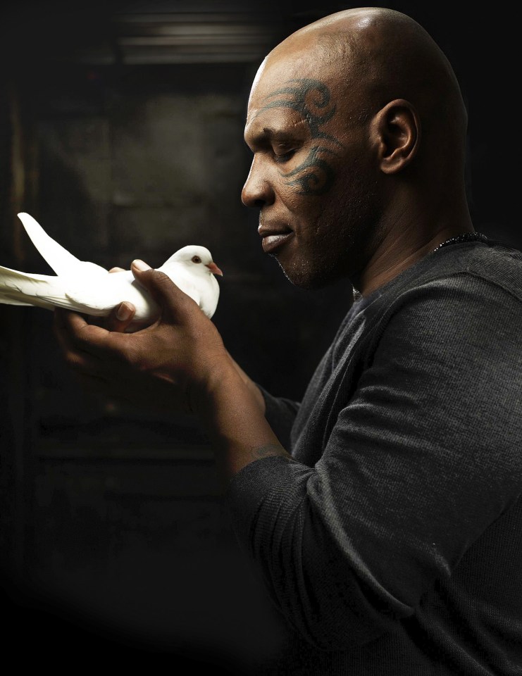  Tyson's love for pigeons goes back to his childhood