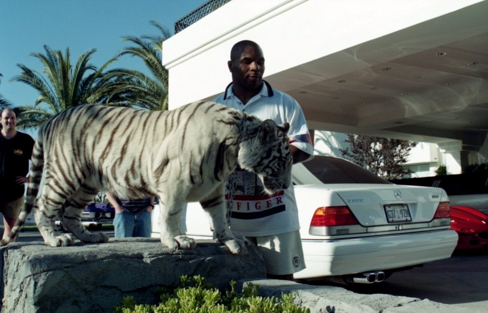  Mike Tyson with his pet tiger in 1989