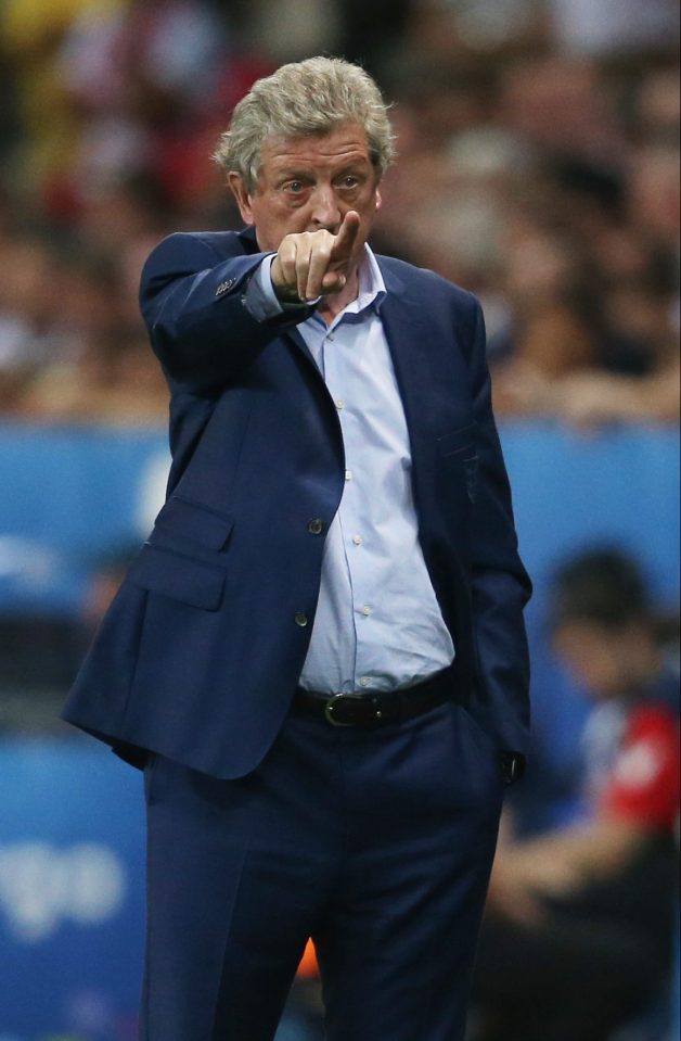 Roy Hodgson claims his England stars did not understand what he was asking of them