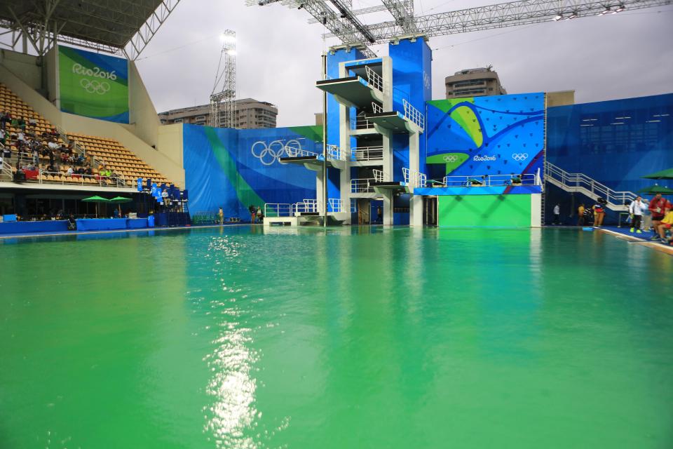  "I haven't seen anything like it before but it's Brazil and everything is green down here, so maybe it was a decoration to make it look pretty."