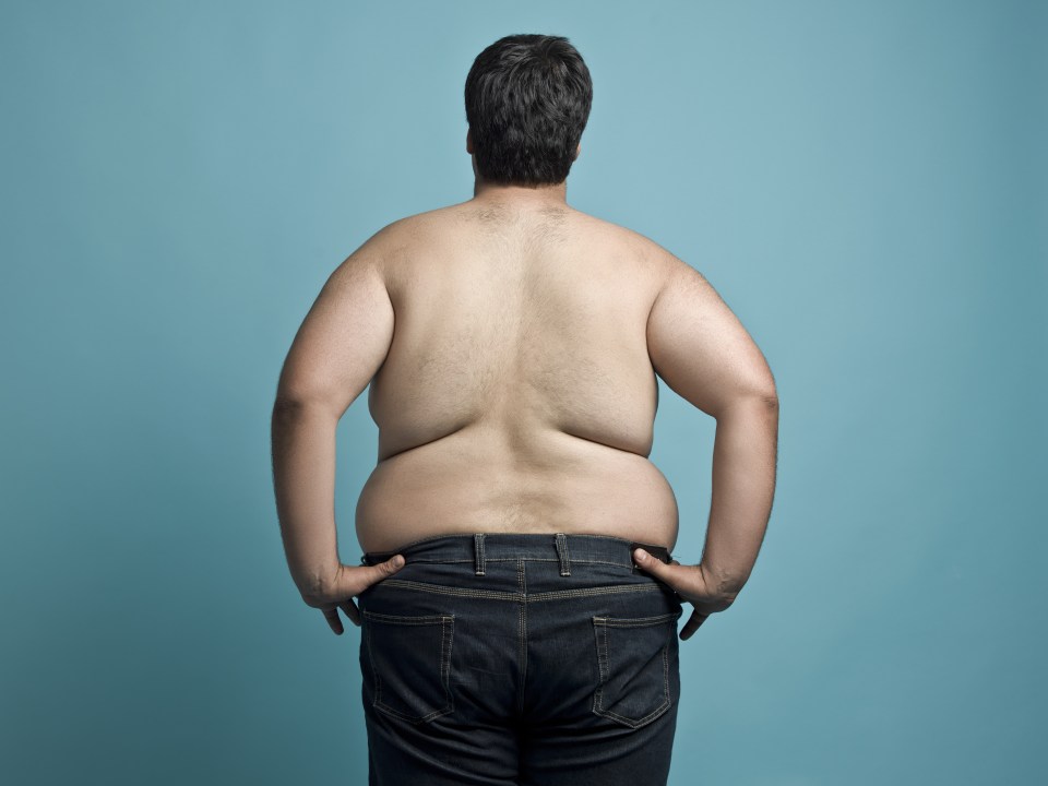  The Government report looked into ways to get fat Brits back to work