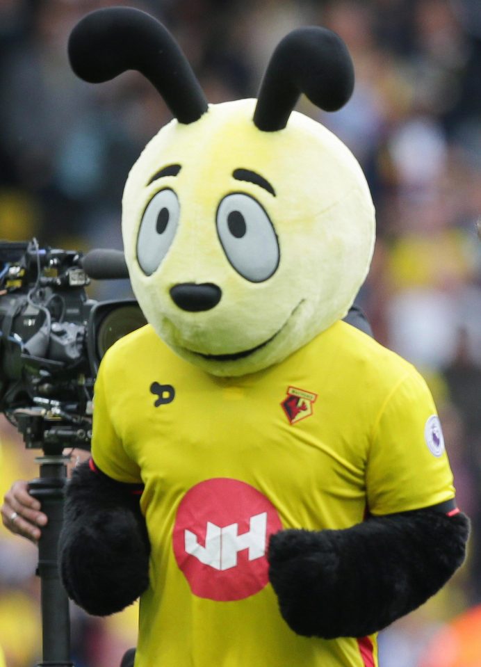 Harry the Hornet, the Watford mascot, upset Wilfried Zaha by diving in front of him at full-time