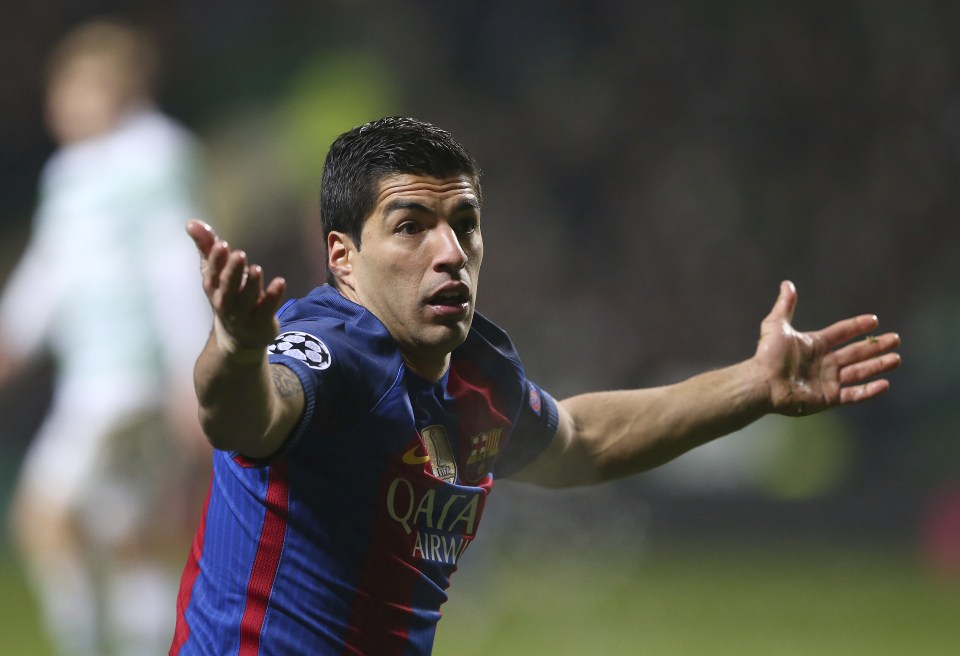 Luis Suarez's arrival was the final straw for Pedro