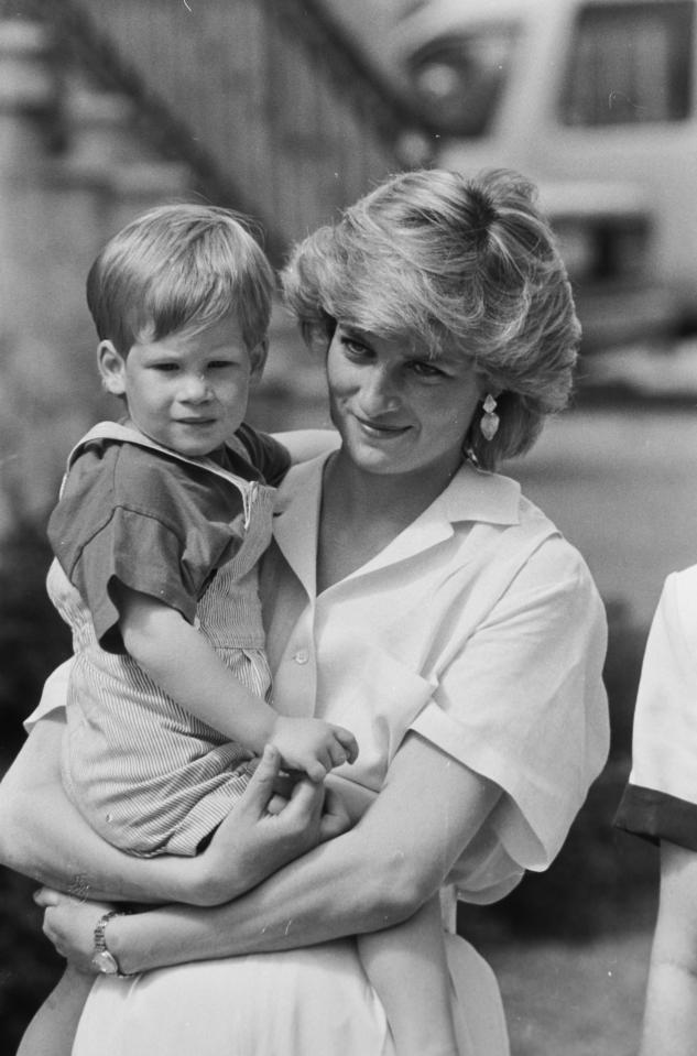 The young prince pictured in Princess Diana's arms