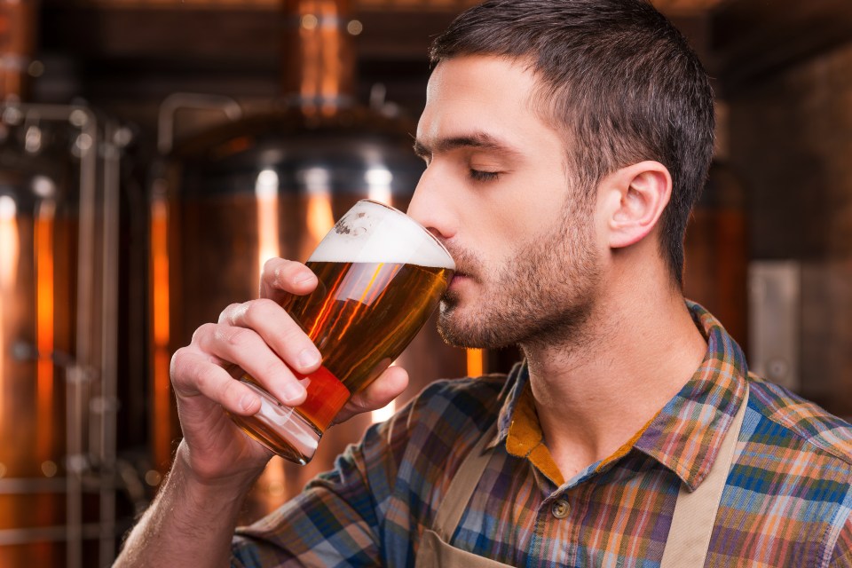 Scientists believe drinking in “moderation” is crucial for social bonding