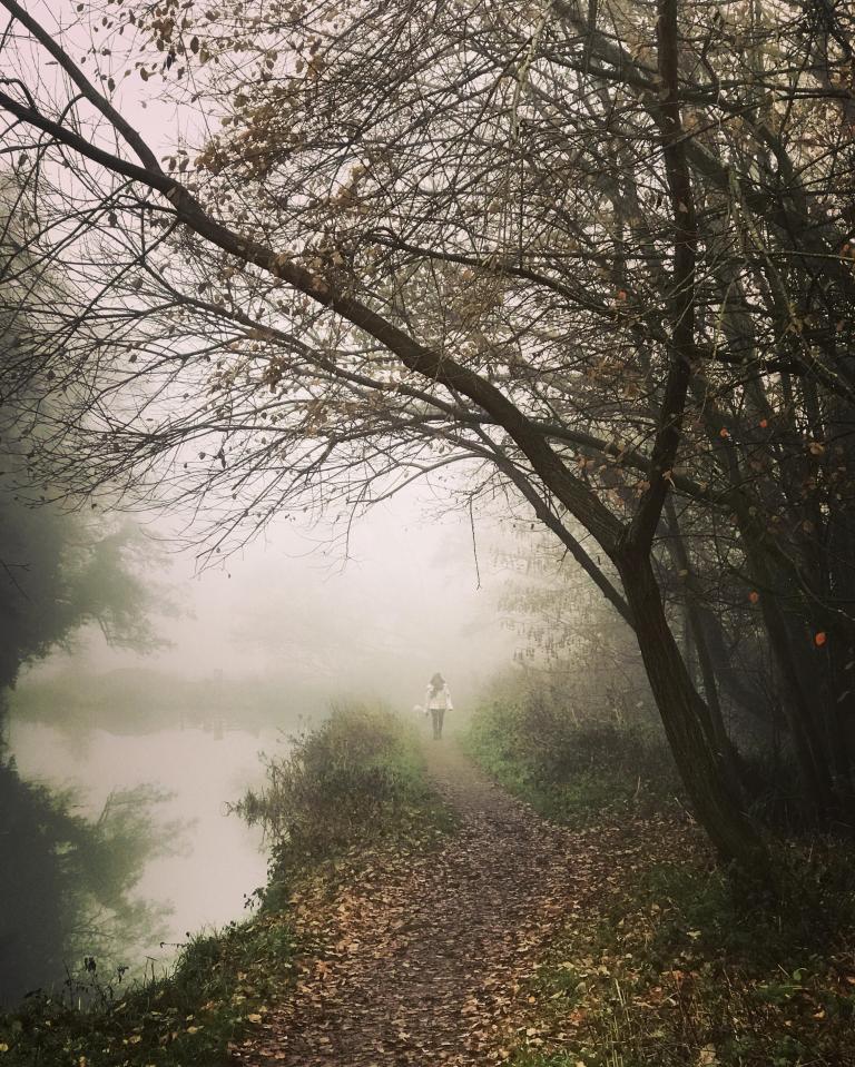 The current fog is called radiation fog and forms under clear winter skies