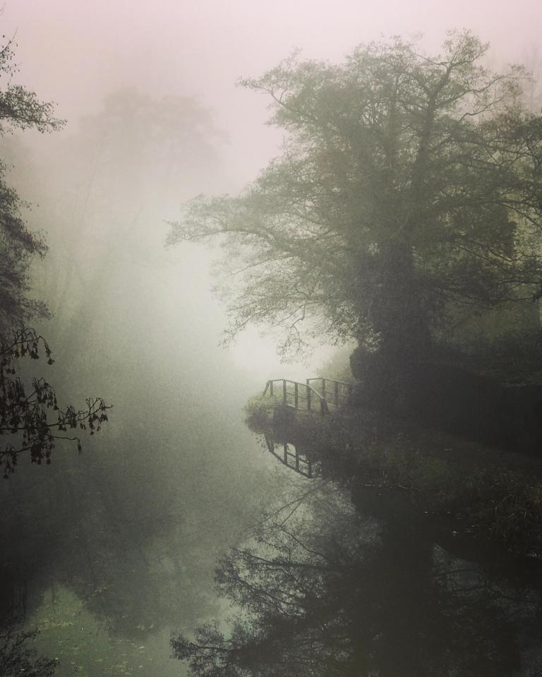 The radiation fog in the UK at the moment is most common in autumn and early winter