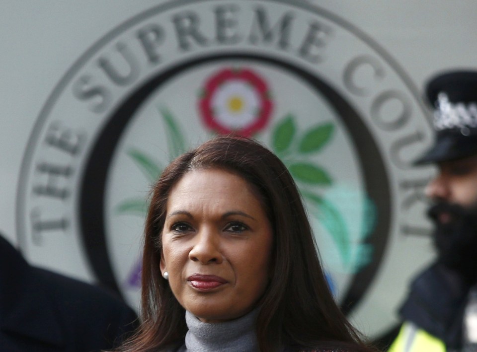  Gina Miller, the businesswoman behind the legal battle against triggering Brexit without parliamentary approval