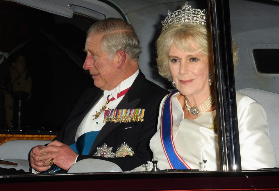 Prince Charles and Camilla arrive at the diplomatic dinner at Buckingham Palace tonight