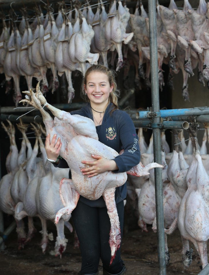  The farm, run by Steve and Sarah Slade are gearing up for the Christmas rush as households across the country buy turkeys