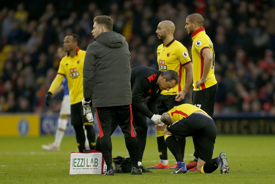 Watford's medical team rush on to treat Behrami