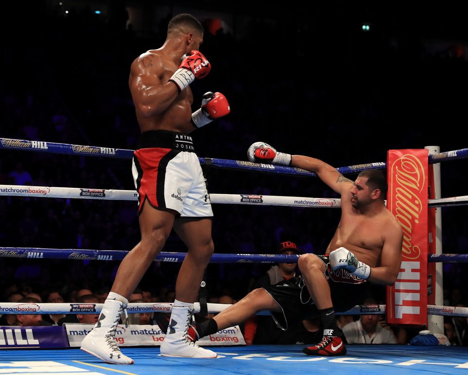 Eric Molina was destroyed in his IBF world title fight against Anthony Joshua on Saturday