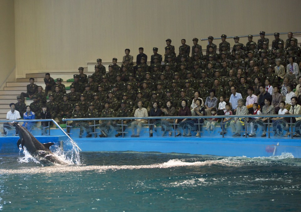 Eric was encouraged to take pictures of the dolphins, but not the crowd of soldiers