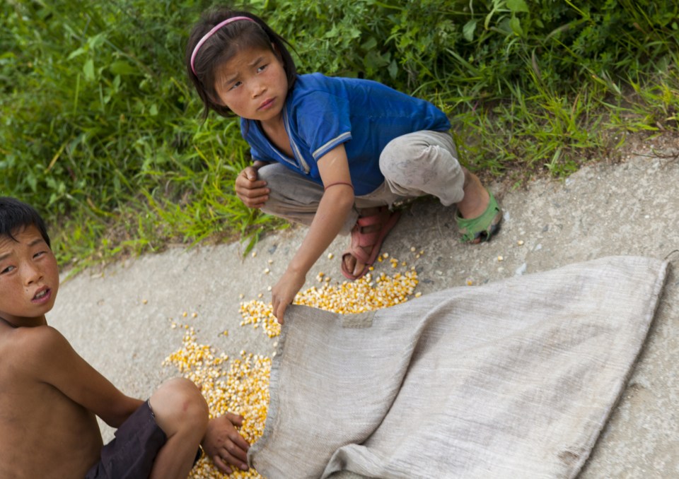 Kids collect grains on the street of Begaebong