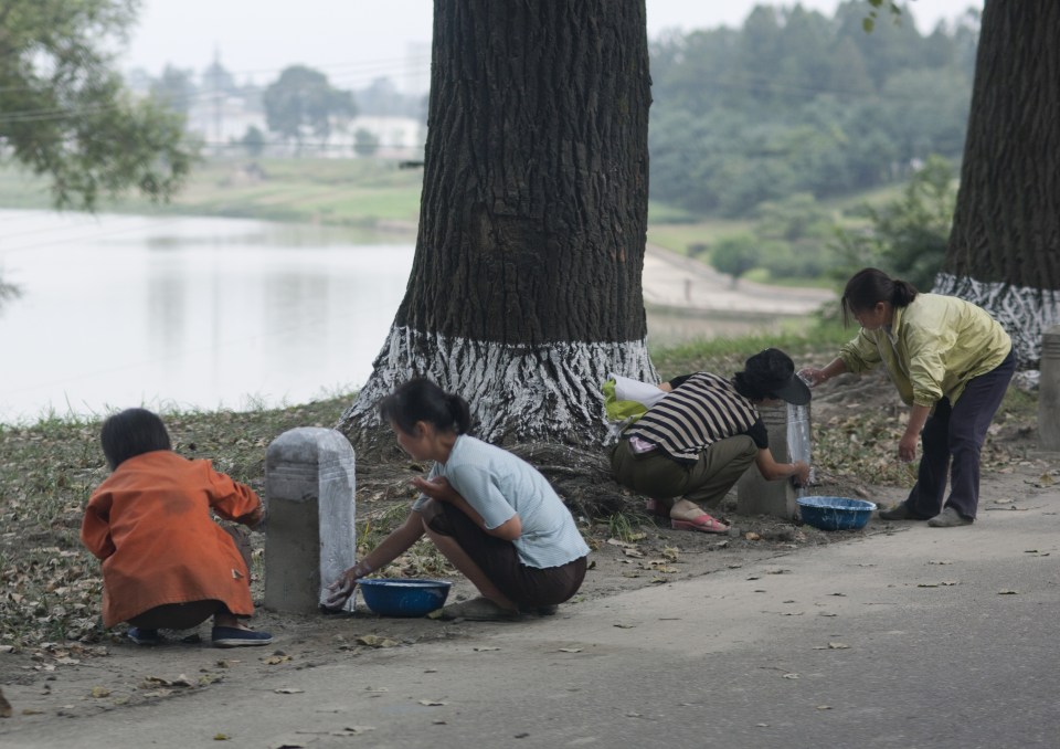 People participating in a 'public project.' Visitors are forbidden to take photos like this because the projects are viewed as forced labour