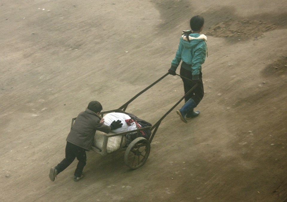 This picture appears to show kids transporting huge bags of rice in a trailer