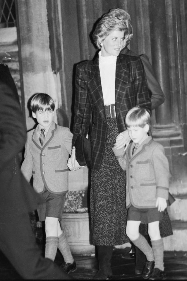 Prince William and Harry with their mother Diana were only young when she was killed in a car crash in Paris