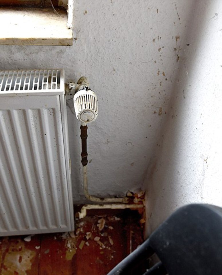  Victim Anika was allegedly chained to a radiator. In the picture, paint can be seen flaked off the wall as she tried to free herself