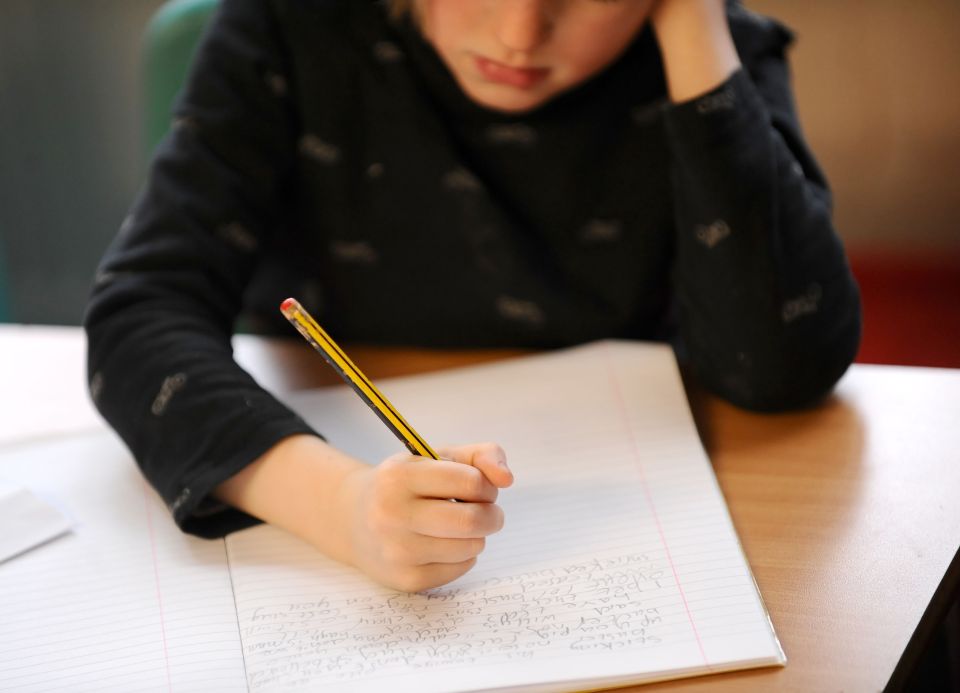  One in five primary school children don’t speak English as their first language, new figures show