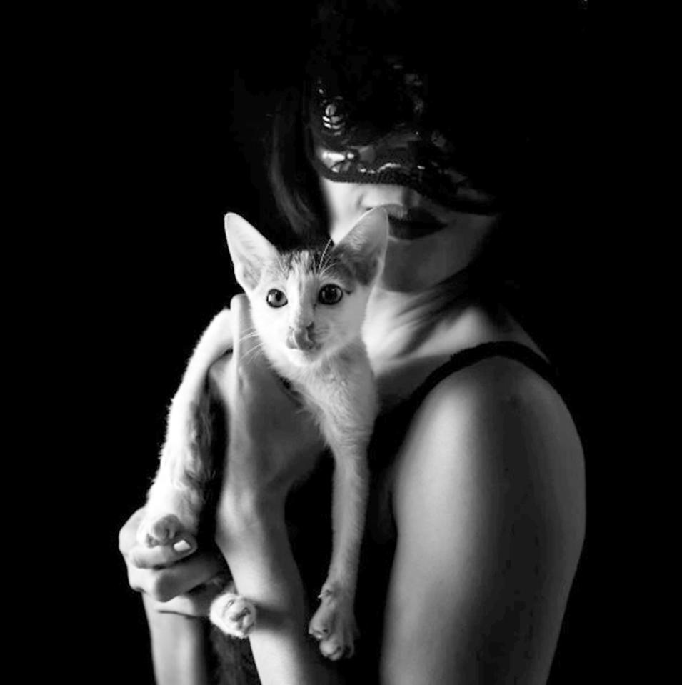  Catherine Costa, who organised the shoot, said: "I wanted to bring attention to cat adoption in a fun way."