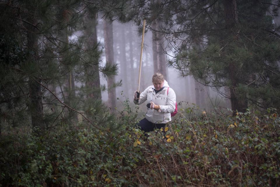  Nicola Urquhart pictured scouring through undergrowth in Suffolk as she desperately searches for her son