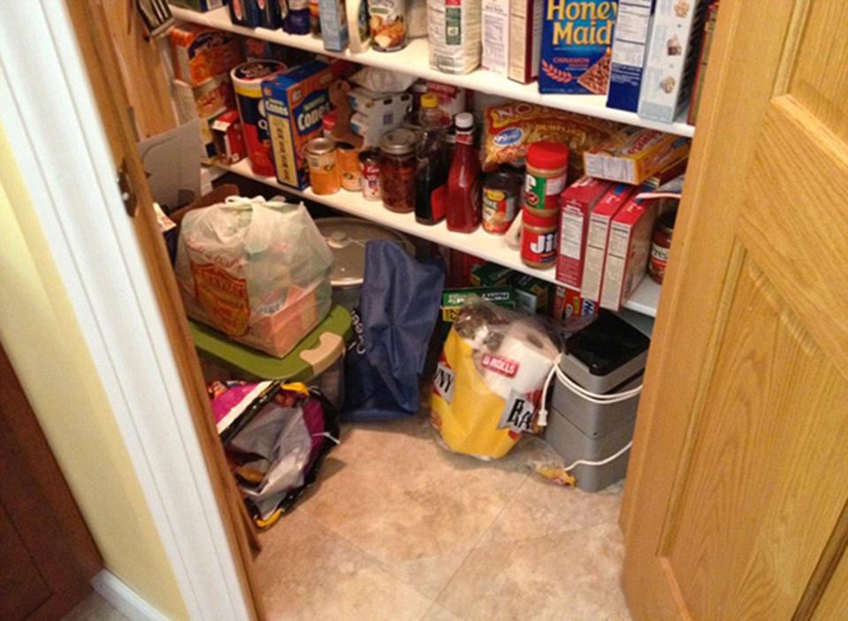  One moggie finds the perfect spot inside a kitchen cupboard...