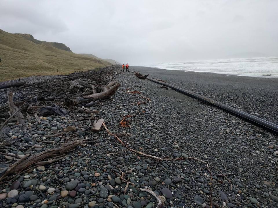  It was found washed up on a remote beach in New Zealand's South Island