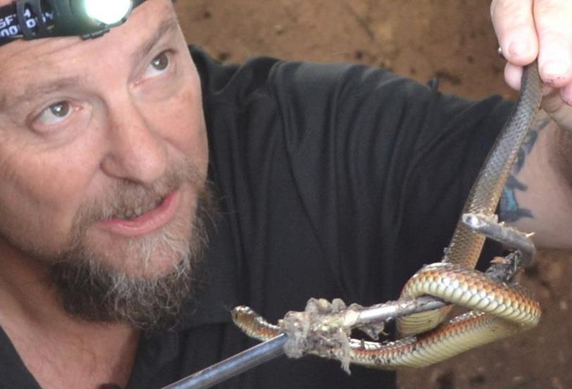 The experienced snake catcher praised the woman who found the tiger snake for not panicking