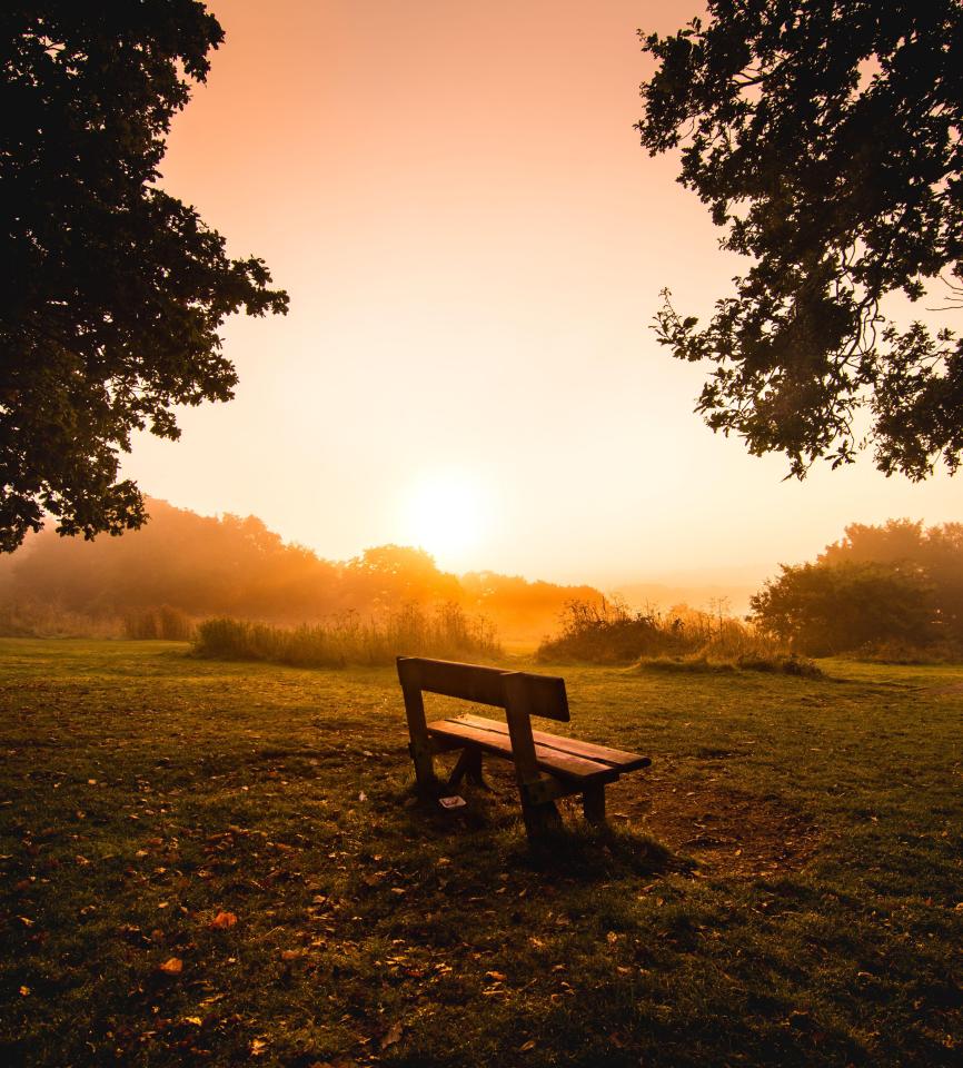  The sun casts a warming glow as it rises over the Surrey hills