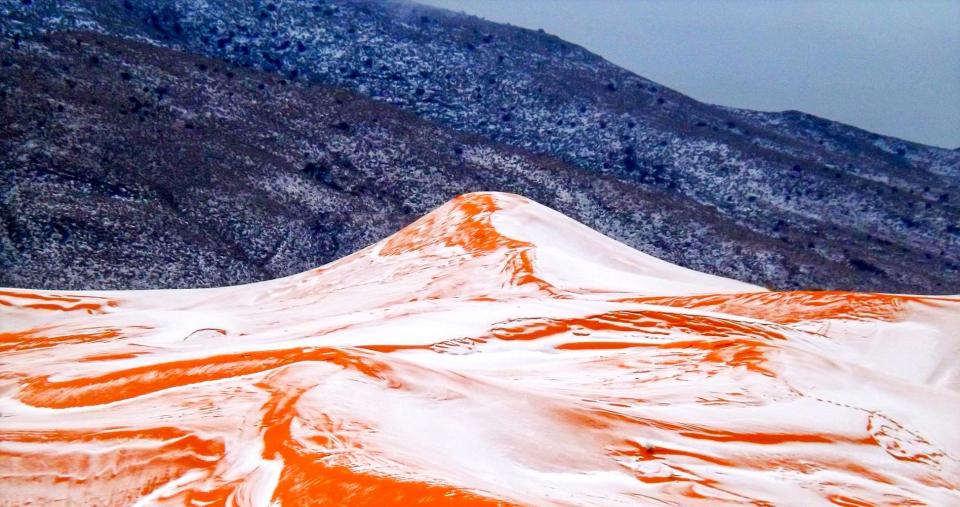  Another view of the stunning and super-rare snowfall