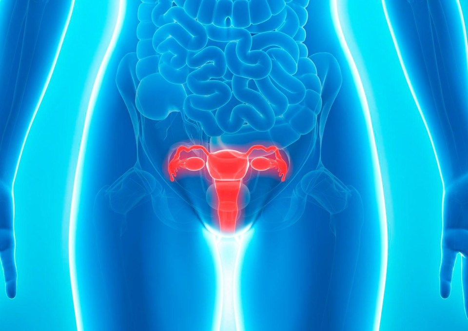 Prolapse of the bladder, womb or bowel – where they move down from their normal position – is common, affecting up to one in three women, at some point in their life