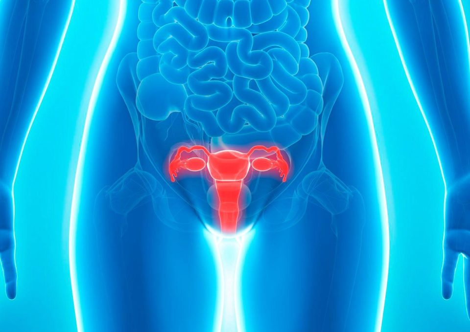 Prolapse of the bladder, womb or bowel – where they move down from their normal position – is common, affecting up to one in three women, at some point in their life