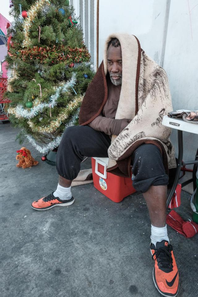 Christmas tree, Ceres Avenue, man sits on a cold morning