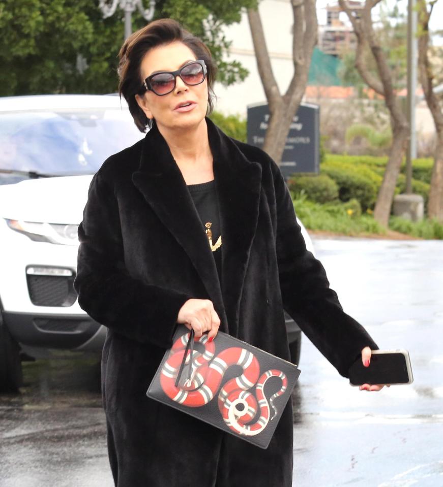  Kris Jenner appears to having a dig at Blac Cyna with this stylish snake clutch bag