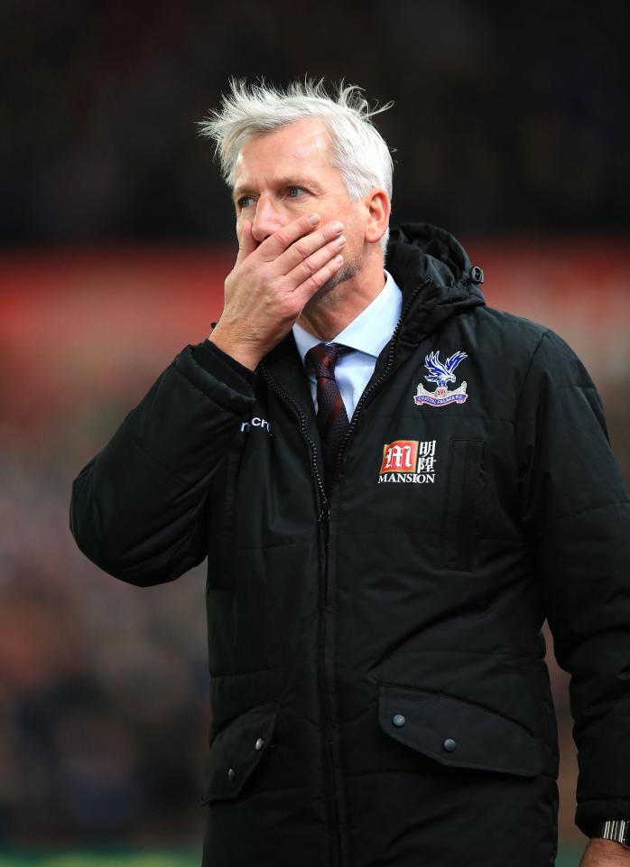 Alan Pardew has been sacked as manager of Crystal Palace after two years in charge