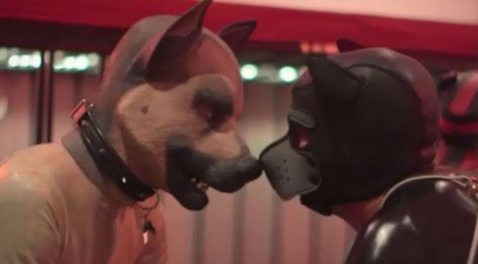  In this odd clip a pair of gents with an odd fetish indulge their fantasies by dressing up in dog outfits