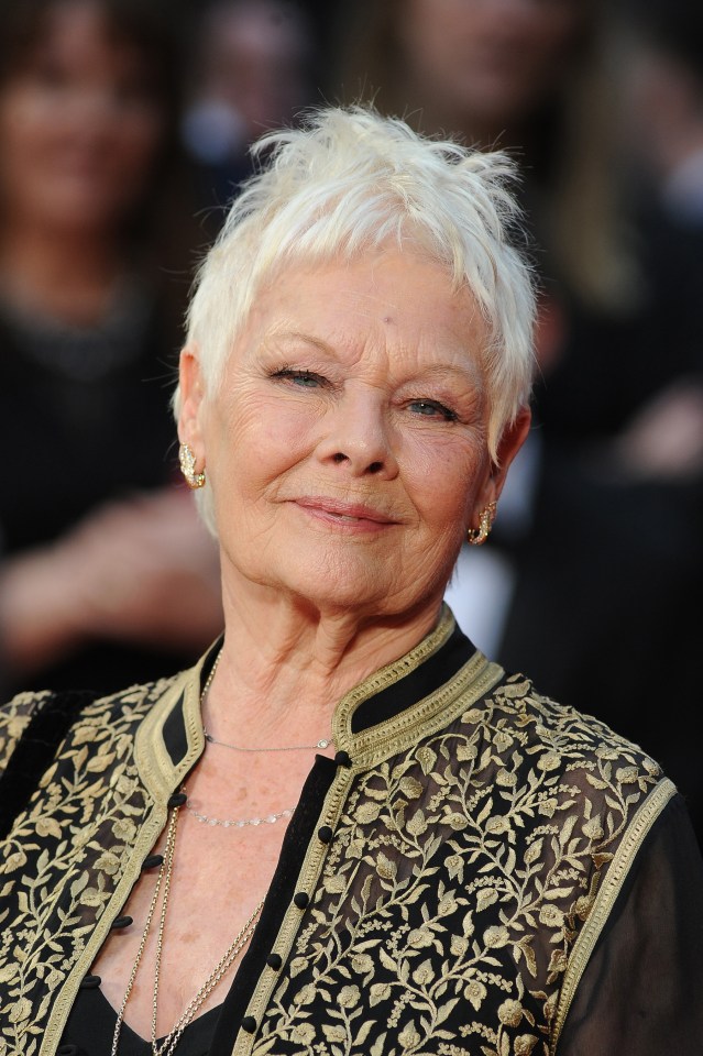  Judi Dench: All The World's Her Stage: A cavalcade of stars​ ​pay tribute to a great Dame who’s happy to laugh at and make fun of herself