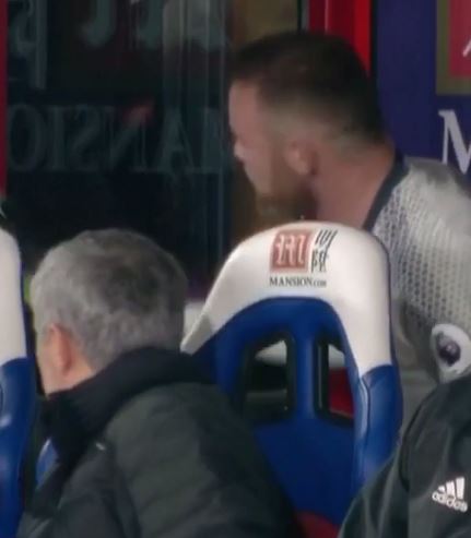  Wayne Rooney was livid the ref did not see Joe Ledley's apparent handball