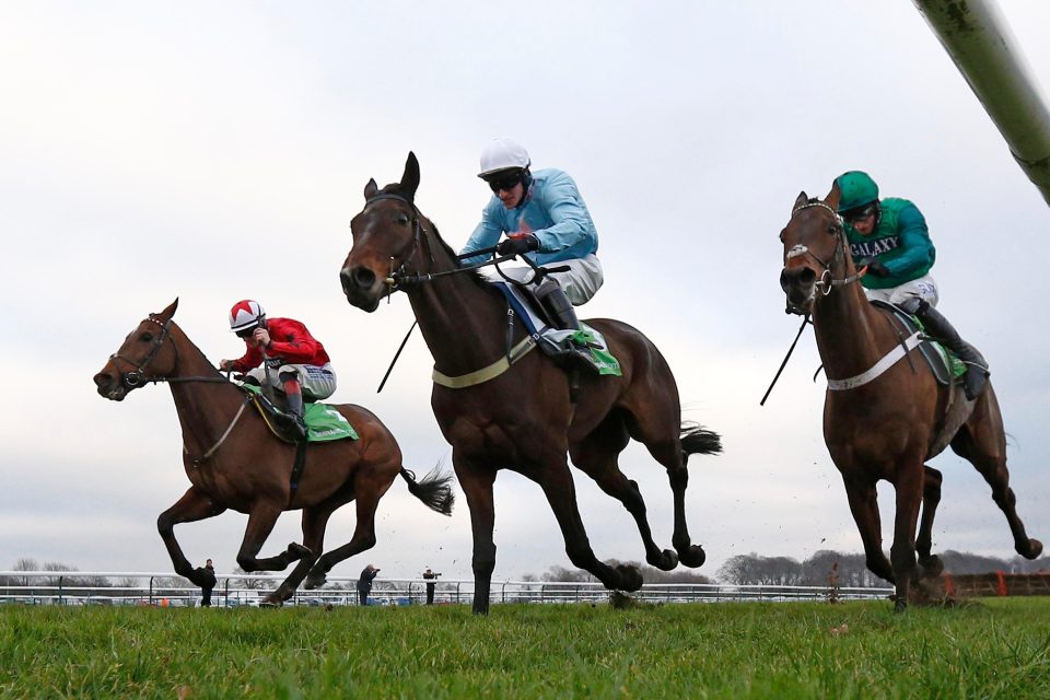  The New One (far left) battles back to win the Champion Hurdle Trial