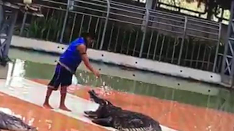  Sumet Thongkhammuan teased the open-jawed crocodile as the crowd watched on